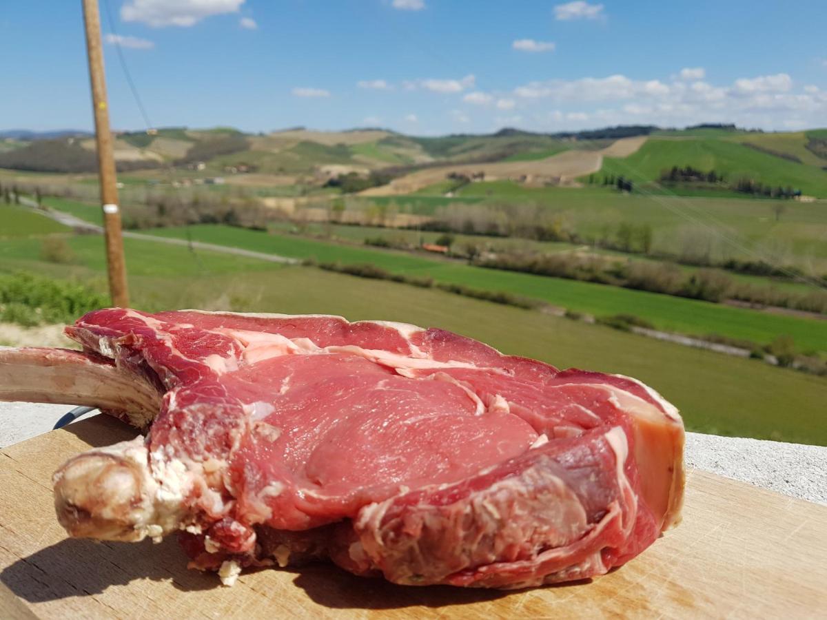 Agriturismo Montepinci Montalcino Eksteriør billede