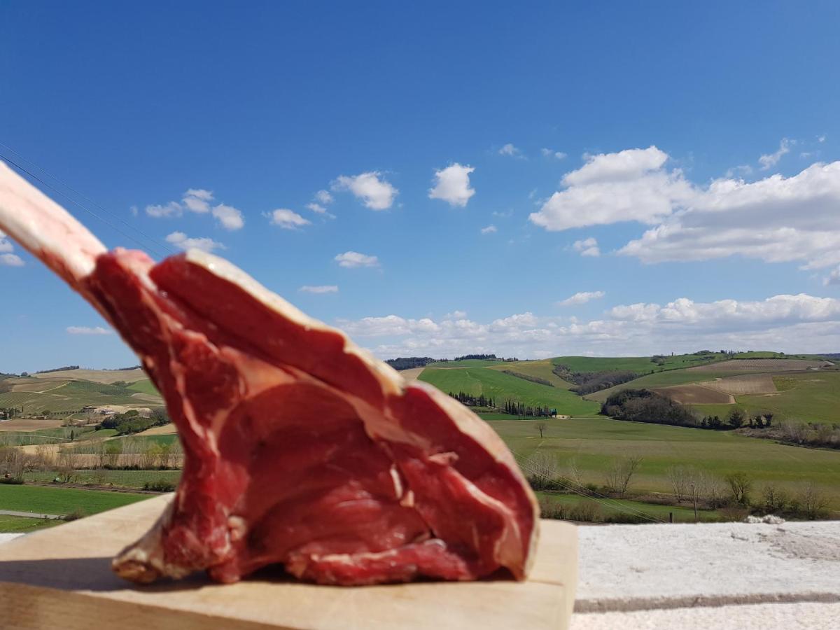 Agriturismo Montepinci Montalcino Eksteriør billede